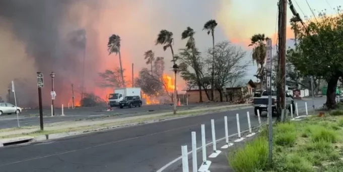 Hawaii fires: At least 36 killed as flames sweep through Maui