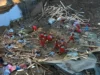 Rescuers battle sub-zero temperatures as more than 100 killed by China’s deadliest quake in nearly a decade