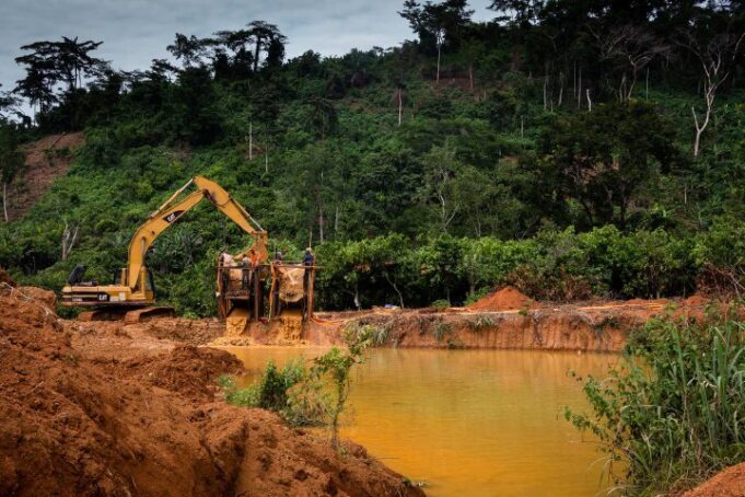 Merton & Everett LLP files legal action to stop mining in forest reserves on behalf of environmental NGOs