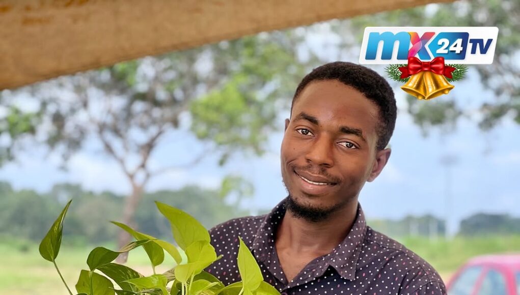 Man holding a flower pot. Creeping plant overflows from the pot