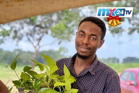Man holding a flower pot. Creeping plant overflows from the pot