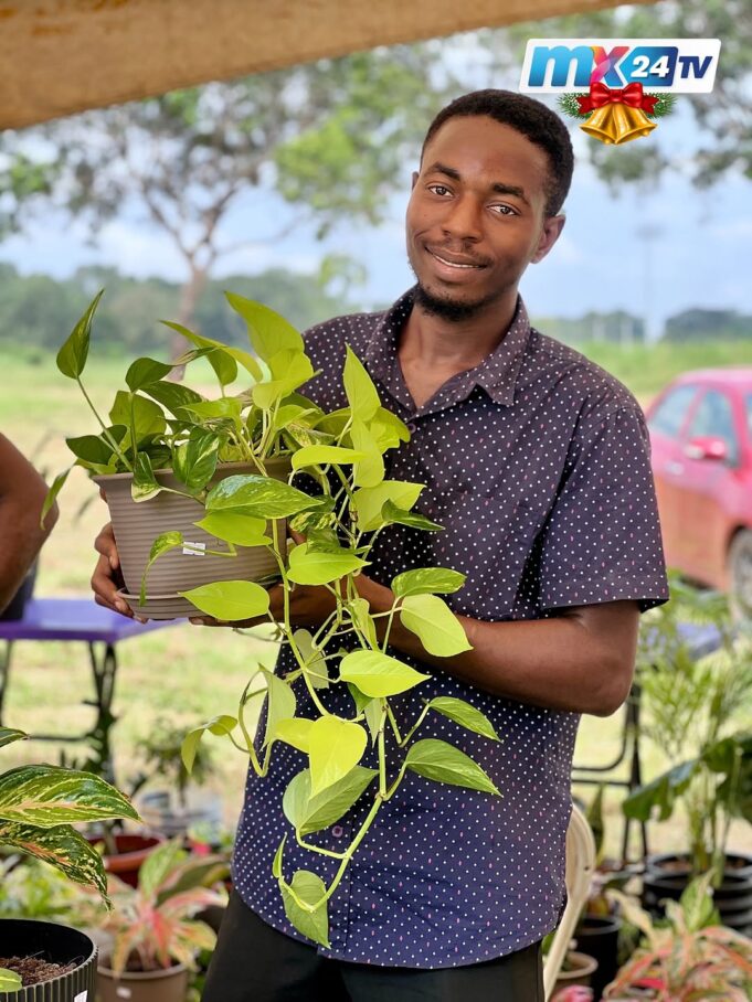 Man holding a flower pot. Creeping plant overflows from the pot