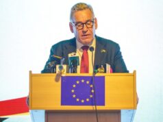EU Ambassador calls for long-term strategy to tackle galamsey