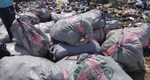 Over 10,800 parcels of narcotics destroyed in Koforidua by NCC