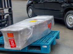 Gov’t repatriates remains of Ghanaian killed in South Africa